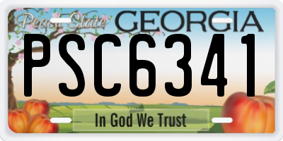 GA license plate PSC6341