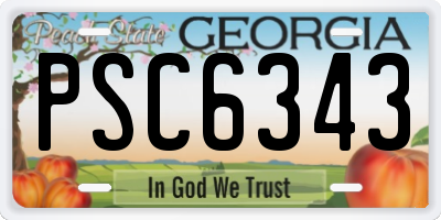 GA license plate PSC6343