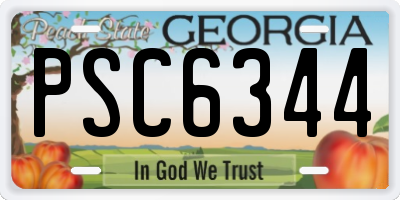 GA license plate PSC6344