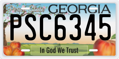 GA license plate PSC6345