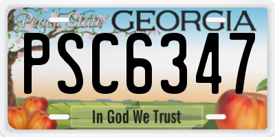 GA license plate PSC6347