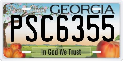 GA license plate PSC6355
