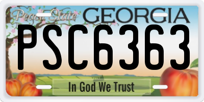 GA license plate PSC6363