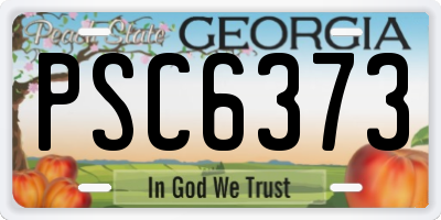 GA license plate PSC6373