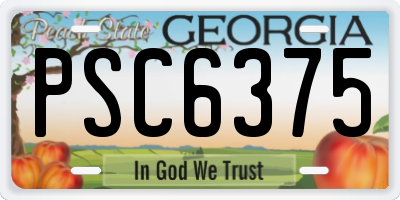 GA license plate PSC6375