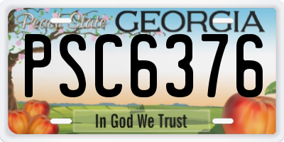 GA license plate PSC6376