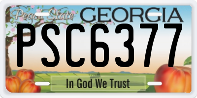 GA license plate PSC6377