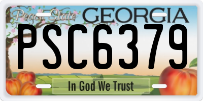 GA license plate PSC6379