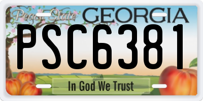 GA license plate PSC6381