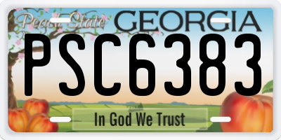 GA license plate PSC6383