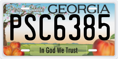 GA license plate PSC6385