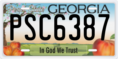 GA license plate PSC6387