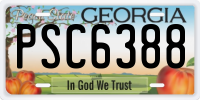 GA license plate PSC6388