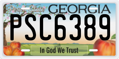 GA license plate PSC6389