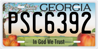 GA license plate PSC6392