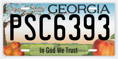 GA license plate PSC6393