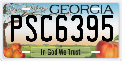 GA license plate PSC6395