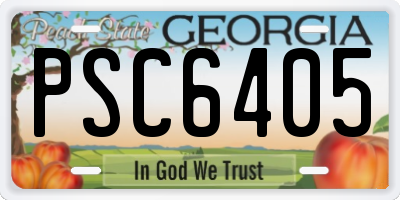 GA license plate PSC6405