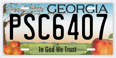 GA license plate PSC6407