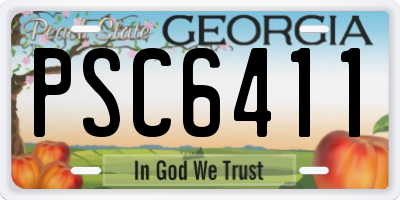GA license plate PSC6411