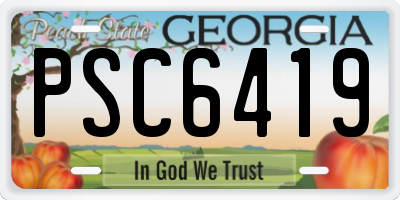 GA license plate PSC6419