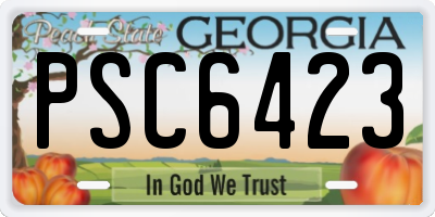 GA license plate PSC6423