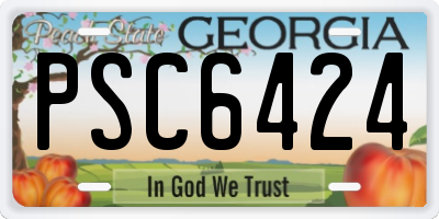 GA license plate PSC6424