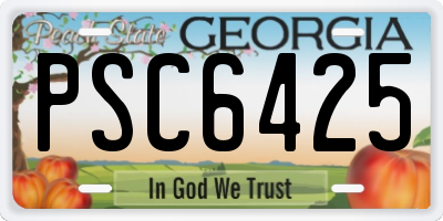 GA license plate PSC6425