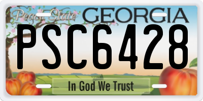 GA license plate PSC6428