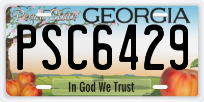 GA license plate PSC6429