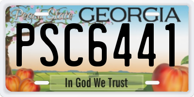 GA license plate PSC6441