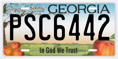 GA license plate PSC6442