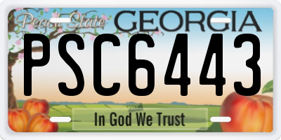 GA license plate PSC6443