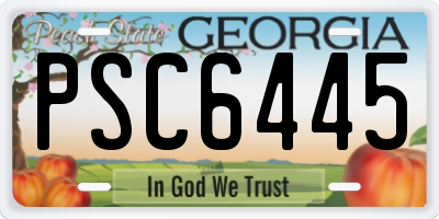 GA license plate PSC6445