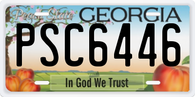 GA license plate PSC6446