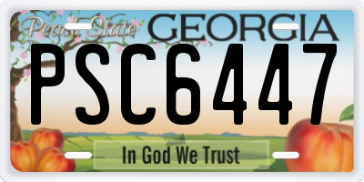 GA license plate PSC6447