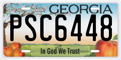 GA license plate PSC6448