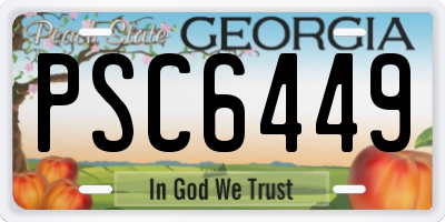 GA license plate PSC6449