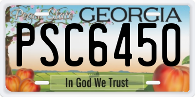 GA license plate PSC6450