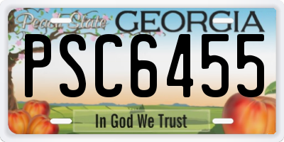 GA license plate PSC6455