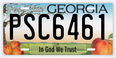 GA license plate PSC6461