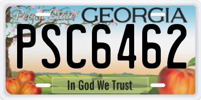 GA license plate PSC6462