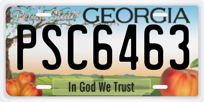 GA license plate PSC6463