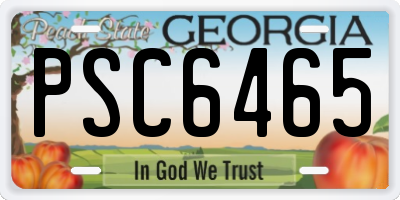 GA license plate PSC6465
