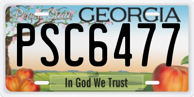 GA license plate PSC6477