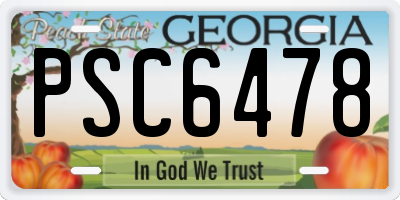 GA license plate PSC6478