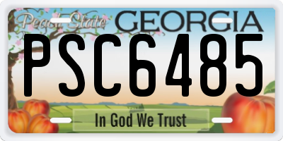 GA license plate PSC6485