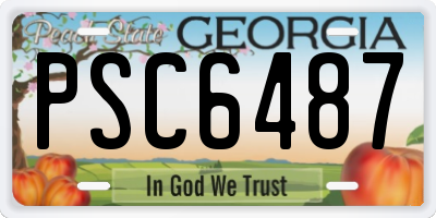 GA license plate PSC6487