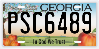 GA license plate PSC6489