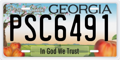 GA license plate PSC6491